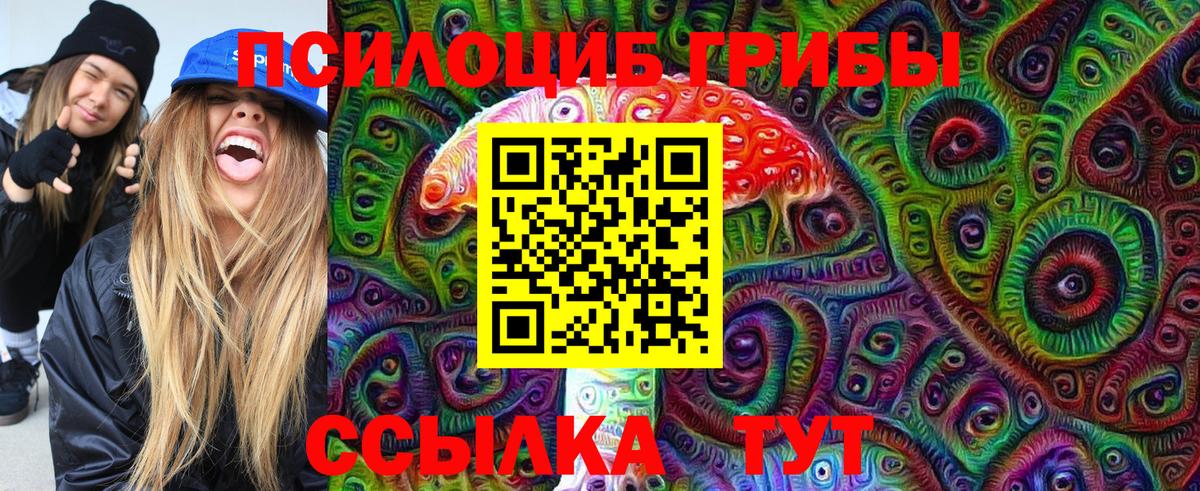 Ачинск  Псилоцибиновые грибы Psilocybine cubensis  Галлюциногенные грибы Cubensis  Вход с VPN 