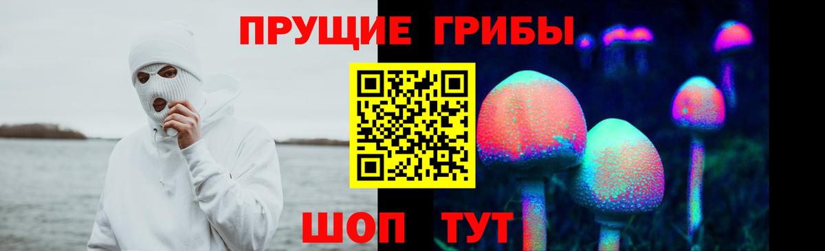 Галлюциногенные грибы Cubensis Ачинск